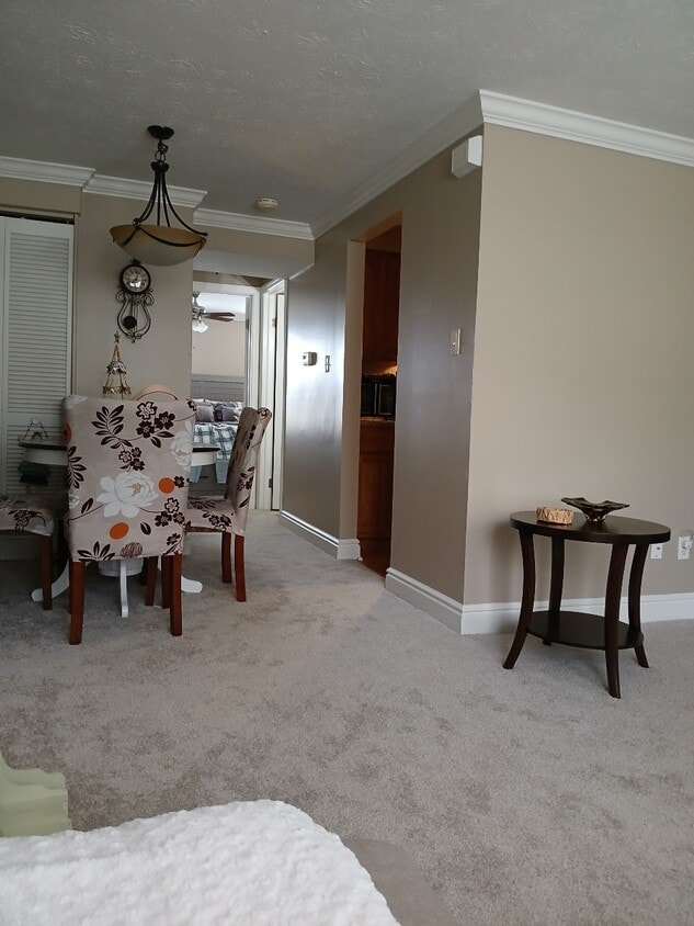 Foto del edificio - 215 Driftwood Rd