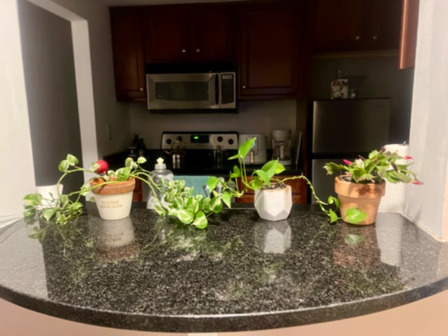 Building Photo - 1280 WPS