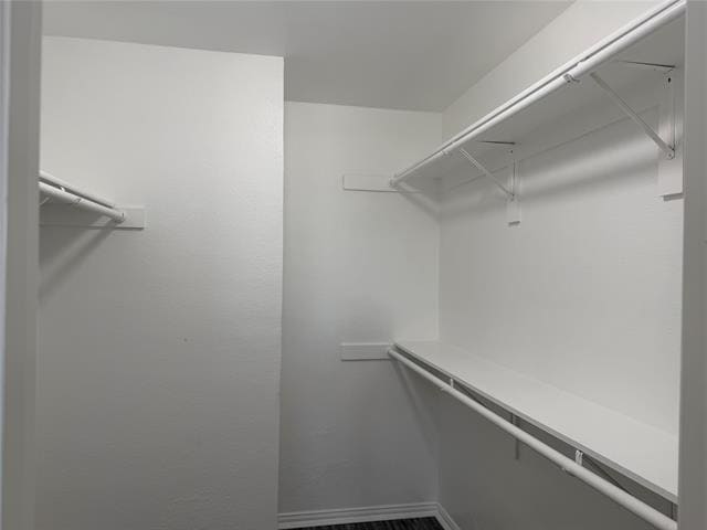 Building Photo - 4815 Mexico Ct