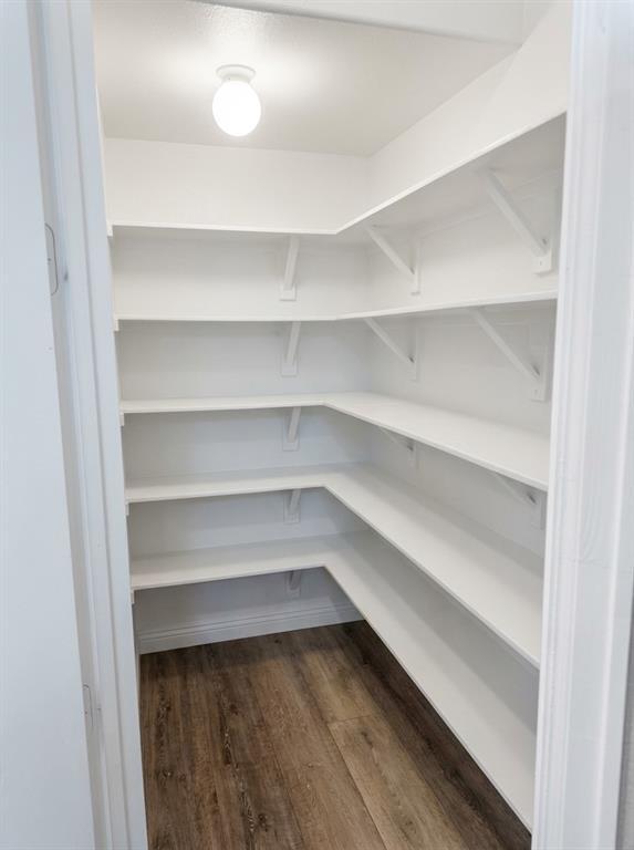 Foto del edificio - 1017 Birchbrooke Dr