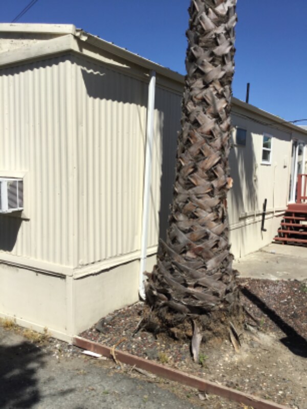 Foto del edificio - 5625 Sandmound Blvd