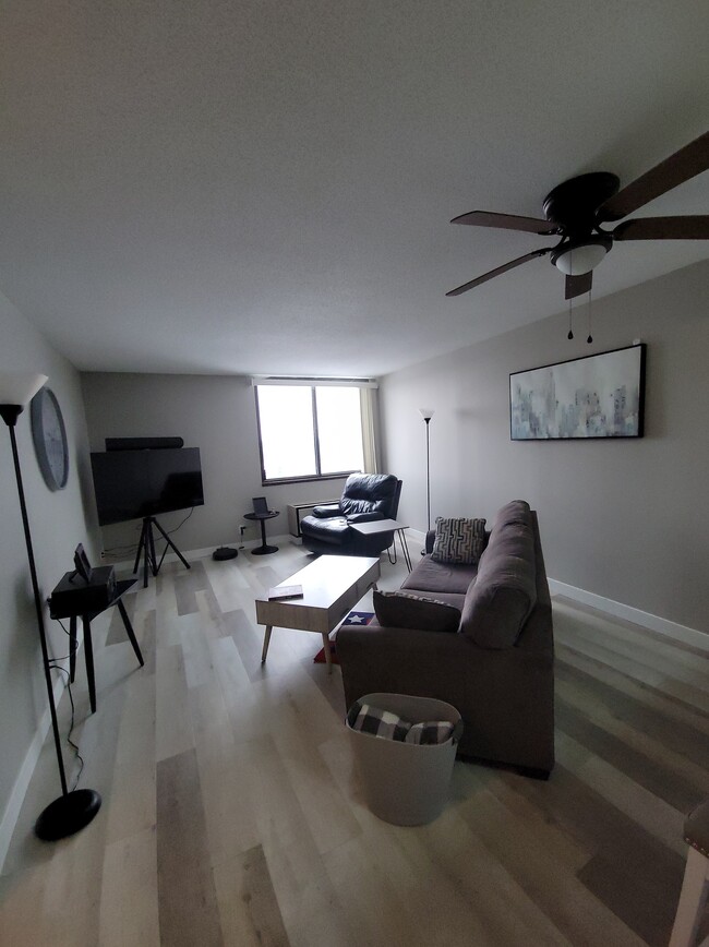 Living room - 1181 Edgcumbe Rd