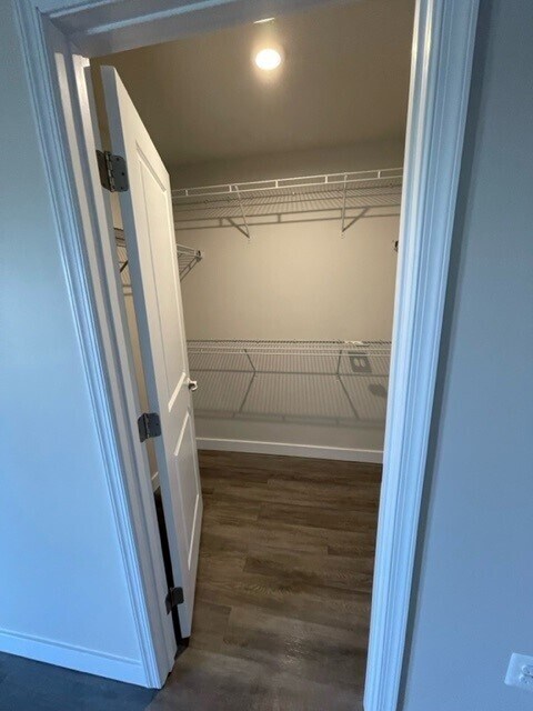 Building Photo - 2107 Elm Tree Ct