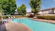 Located at 8888 Citrus Ave in Fontana, California, this outdoor amenity area serves as a central communal gathering space. The focal point is a generously sized, freeform swimming pool with clear turquoise water, accessible via stainless steel handrails and surrounded by a spacious concrete pool deck. Adjacent to the pool is a separate circular spa, providing a dedicated space for relaxation. The pool area is framed by lush, mature trees and well-maintained hedgerows that offer natural privacy screening and shade throughout the day. Multiple padded lounge chairs are arranged along the deck, creating inviting spots to sunbathe and unwind under the Southern California sky. A small utility or storage structure is positioned near the spa area, complemented by additional outdoor seating with a shaded umbrella table. The surrounding residential buildings are two-story structures with a neutral, traditional exterior finish, contributing to an enclosed and community-oriented atmosphere. The open-sky setting allows for abundant natural light, making this outdoor space a bright and pleasant environment suited for warm-weather relaxation and recreation.