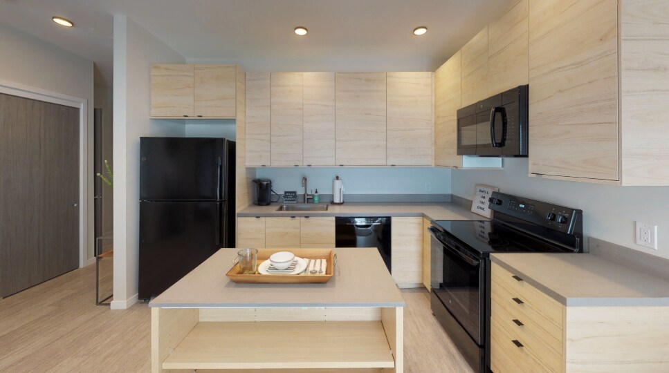 Rowat Lofts Apartments 601 E Vine St Des Moines, IA