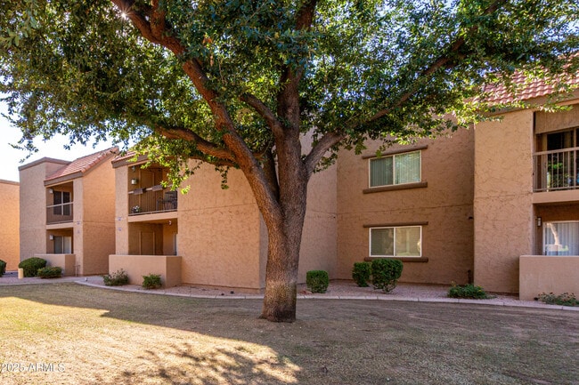 Building Photo - 8260 E Arabian Trail