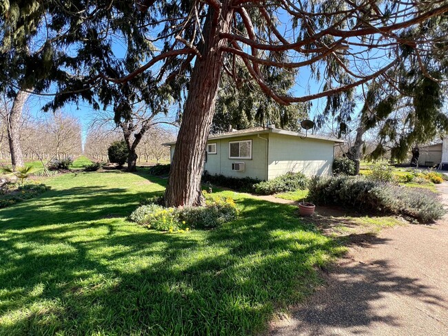 Building Photo - Country home in Linden