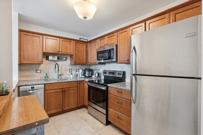 Foto del edificio - 1255 N Sandburg Terrace