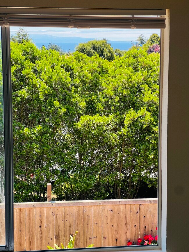 Building Photo - 405 Sailfish Dr