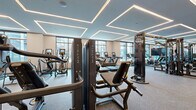 Located at 329 Alfred Ave in Teaneck, NJ, this professionally appointed fitness center offers a generously sized, single-floor exercise space designed to support a full range of workout routines. The facility is thoughtfully organized into distinct zones, including a cardio area, a strength training section, and a dedicated free weights and functional training zone with a turf floor area visible in the background.

The cardio zone is lined with large windows that allow ample natural light and provide views of the surrounding neighborhood, creating an open and energizing atmosphere. This section is equipped with a row of Matrix treadmills, elliptical trainers, and stair climbers, all featuring individual digital display screens. Adjacent to this area, the strength training section hosts a comprehensive selection of Matrix cable machines and selectorized equipment arranged for efficient use of the floor space.

The free weights and functional training area features power racks, barbells, weighted plates, and a dedicated lifting platform with a hardwood surface, all reflected in full-length wall mirrors that enhance the sense of depth. The interior design is defined by a sophisticated geometric LED lighting system embedded in a coffered ceiling, casting clean, even illumination throughout. Rubber flooring in the main areas and warm wood accents on structural columns complete the polished, contemporary aesthetic of this well-equipped facility.