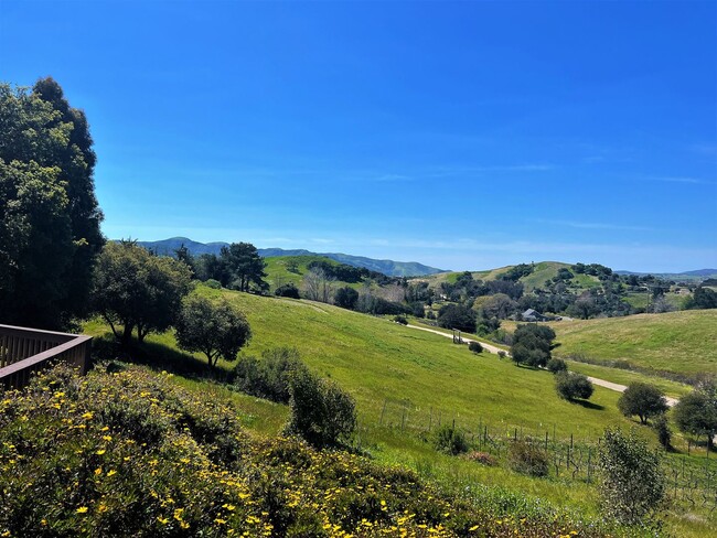 Foto del edificio - Spectacular Ranch House With Amazing Views!