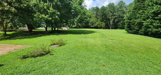Large flat open yard for all your activities - 209 Seasons Dr