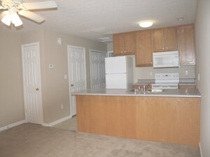 Cocina - Dolphin Hills