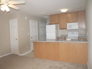Kitchen - Dolphin Hills