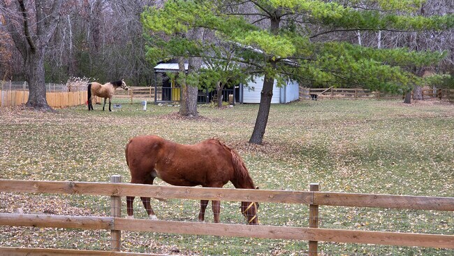 Building Photo - 9500 Fox Valley Dr