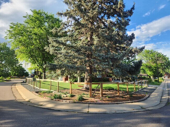 Foto del edificio - Spacious 4BR House in Wheat Ridge