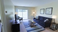 This single-floor residence features a welcoming living room as its central gathering space. The room is finished with neutral beige walls and light wall-to-wall carpeting, creating a warm and understated backdrop. A large sliding glass door dominates one wall, allowing generous natural light to fill the interior while providing direct access to an outdoor area and views of surrounding greenery.

The living room is furnished with a deep navy blue sofa accented with decorative pillows, complemented by a coordinating patterned armchair. A dark-toned rectangular coffee table anchors the seating area, set atop a striped blue area rug that adds visual interest and defines the space. A flat-screen television is positioned on a low dark media console along one wall, while a floor lamp near the sliding door provides additional ambient lighting. Framed wall art adds a finishing touch to the decor.

The overall ambiance is calm and livable, with a cohesive color palette of blues and neutrals throughout. The abundance of natural light and outdoor views contributes to an airy, comfortable atmosphere well-suited for everyday living.