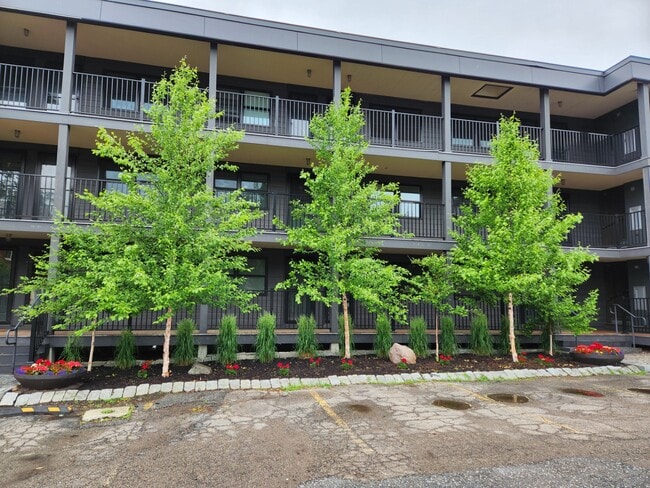Building Photo - 328 College St