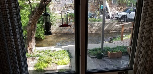 Looking out lounge window - 1633 18th St