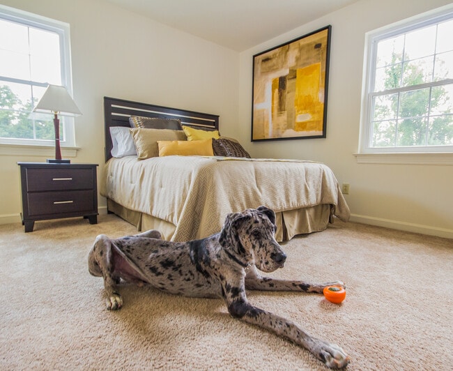 Building Photo - Brandon Point Apartments