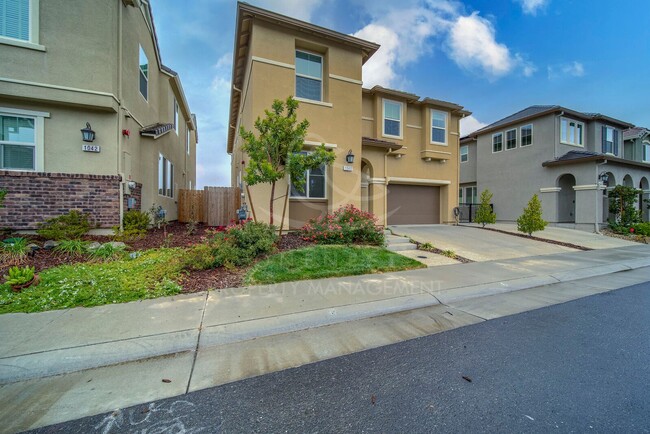 Foto del edificio - Gorgeous 4 bd 3ba home in Rocklin