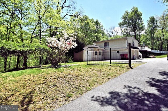 Building Photo - 1005 Sunnyside Ave