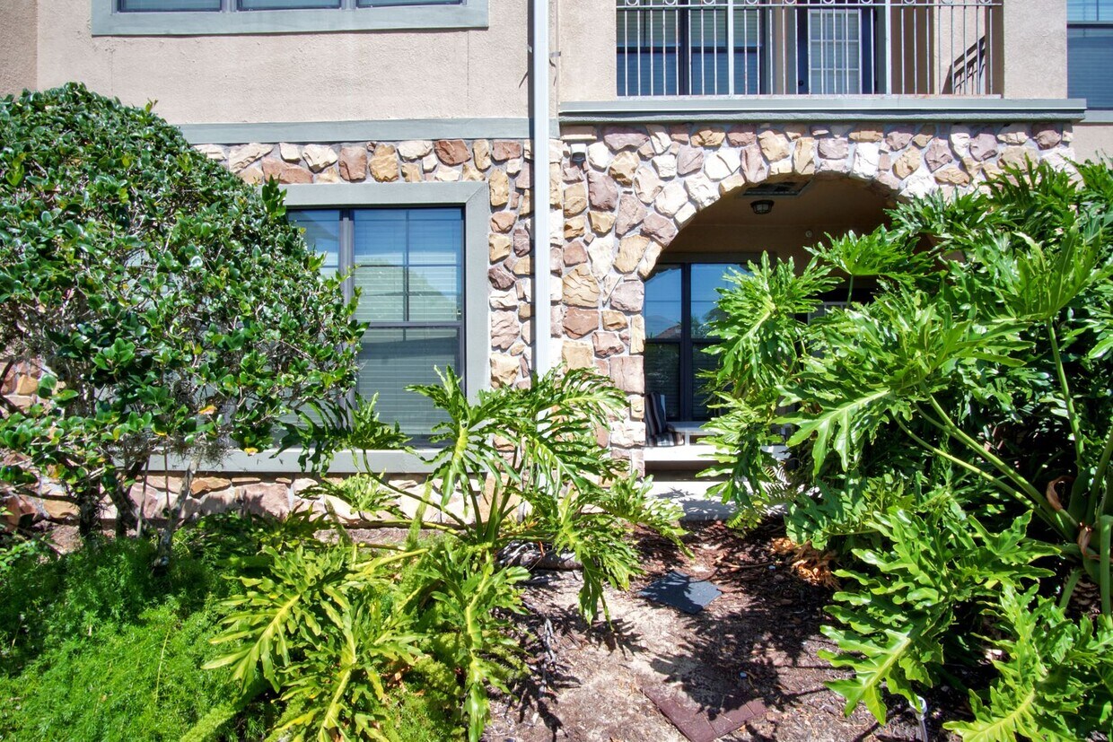 907 Charo Pkwy, Davenport, FL 33897 House Rental in Davenport, FL