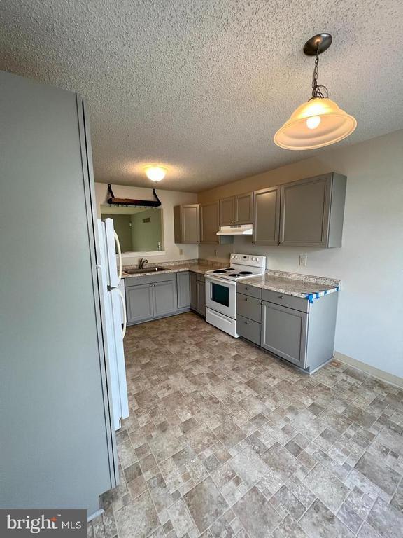 Building Photo - 1007 San Remo Ct