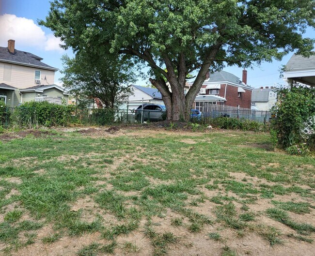 Backyard - 2911 Daniels St