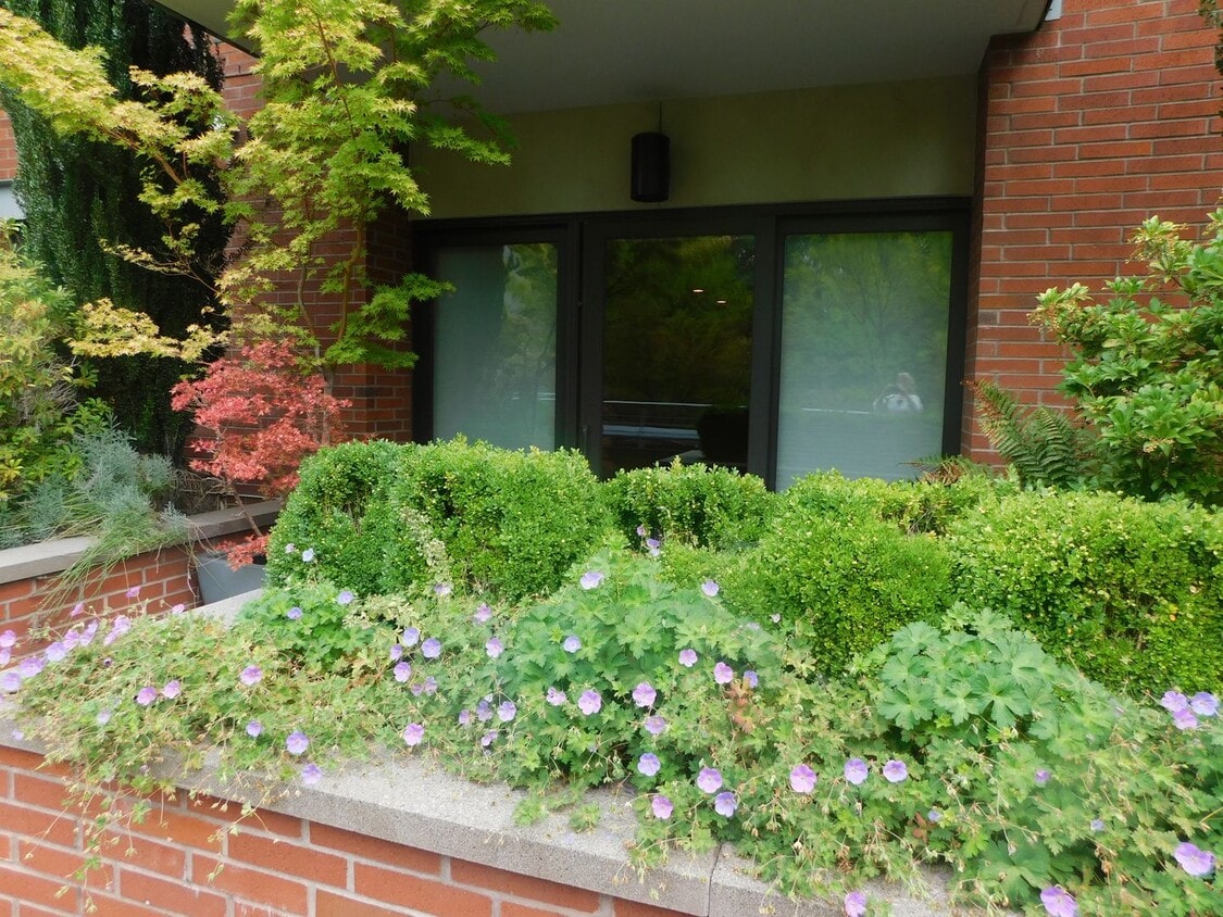 Fall Special $300 Off First Full Mo.-Beaut... - Fall Special $300 Off First Full Mo.-Beaut...