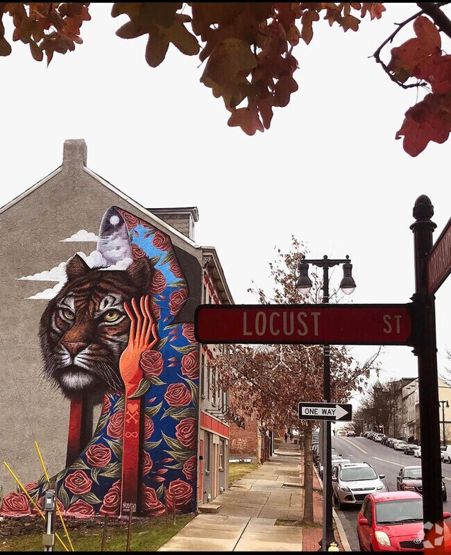 West Ward Student Apartments for Rent Easton, PA 20 Rentals