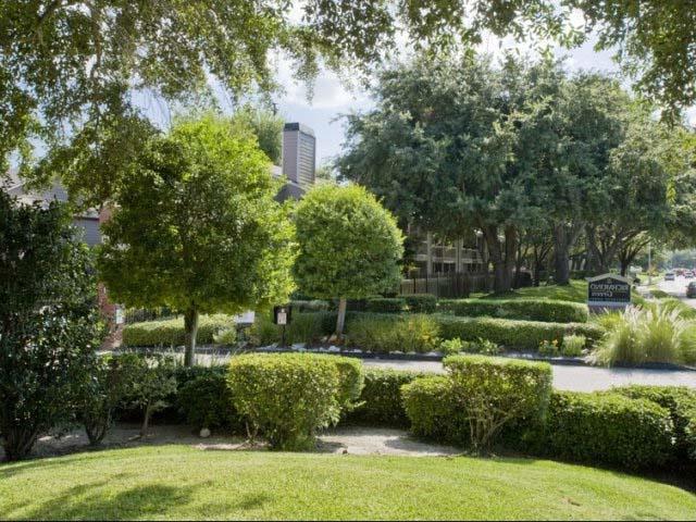 Foto del edificio - 9940 Richmond Ave.