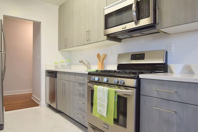 Pelham Terrace - Pelham Terrace House