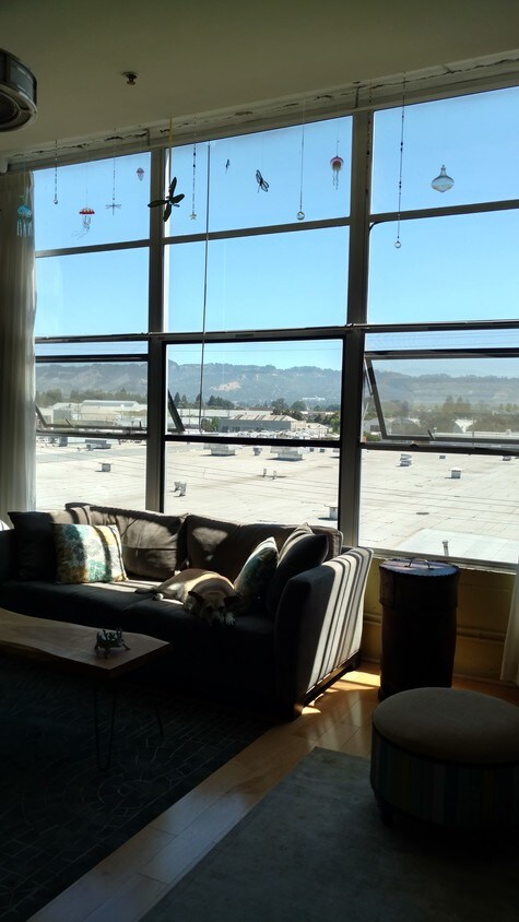 Ventanas con vista al este - 1500 Park Ave
