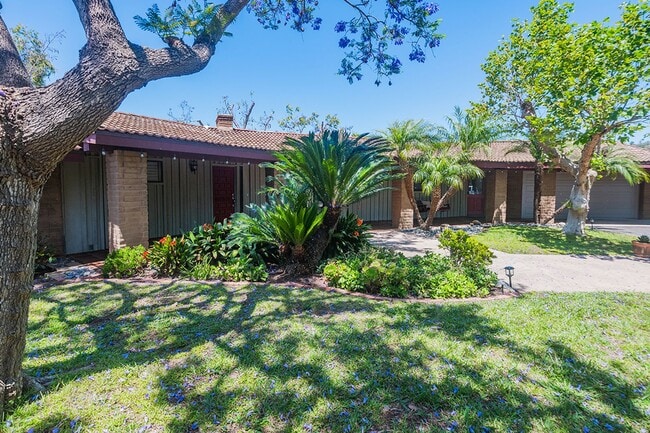 Building Photo - 3 Bedroom Ranch-Style Home on Avocado Grove Property in South Morro Hills