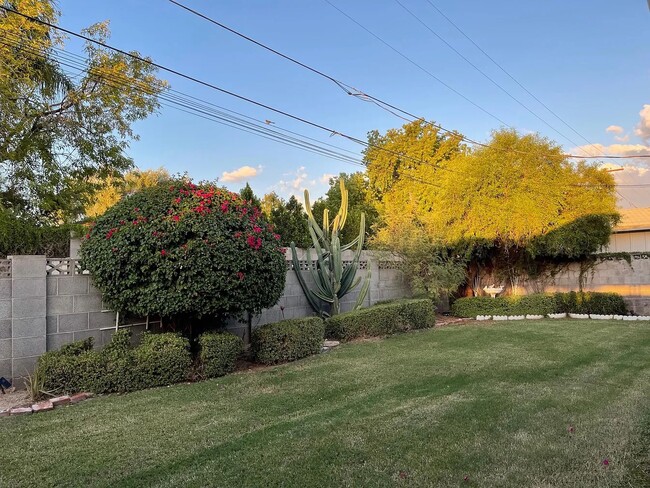 Photo - 302 E El Caminito Dr House