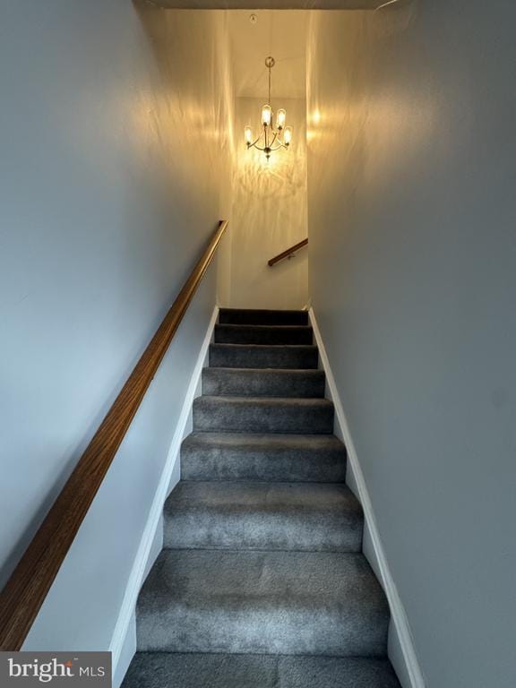 Foto del edificio - 116 Black Duck Ct