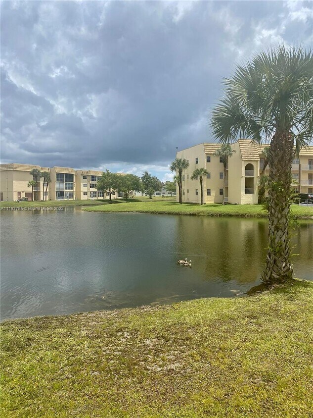 8600 Sunrise Lakes Blvd Unit 211, Sunrise, FL 33322 Condo for Rent in
