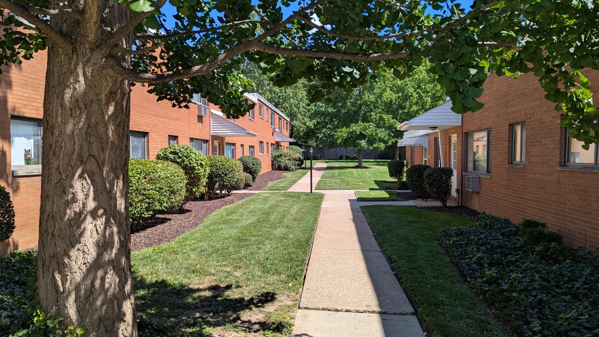 Arlen Terrace Apartments – photo 3