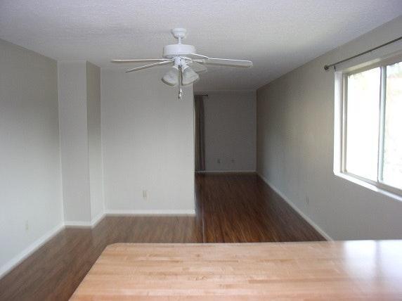 Building Photo - 1501 Shenandoah Dr