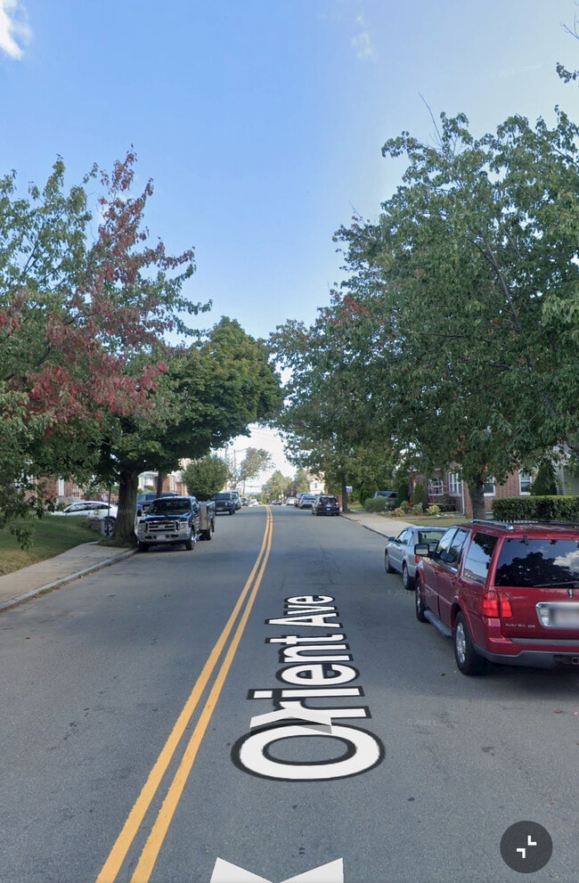 Beautiful clean street with ample street parking. - 202 Orient Ave