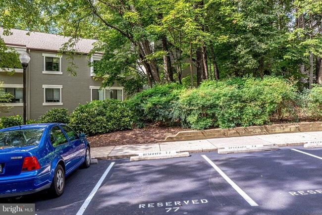 Photo - 2210 Springwood Dr (Reston, VA) Apartment