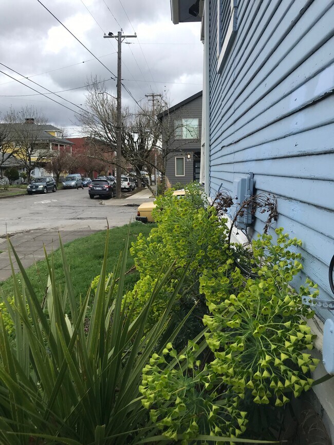 Foto del edificio - 936 N Killingsworth Ct