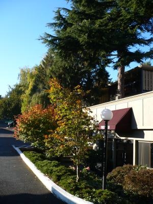 Building Photo - Forest Glen Apartments