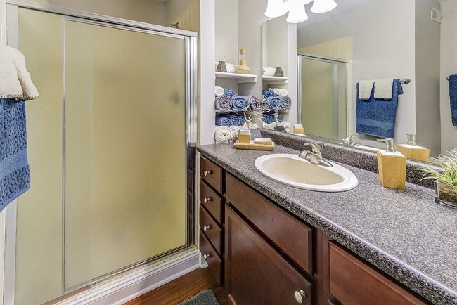 Signature Series Master Bathroom at Somerset Lakes - Somerset Lakes