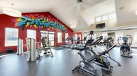 Located at 1320 Coconino Rd in Ames, Iowa, this expansive single-floor fitness center at The Social offers a generously sized exercise space designed to accommodate a full range of workout routines. The facility is architecturally distinguished by soaring vaulted and cathedral ceilings that create an open, airy atmosphere, complemented by abundant natural light streaming through multiple windows on all sides.

A standout design feature is the bold, colorful graffiti mural prominently displayed on the deep red accent walls, lending the space a vibrant, energetic character. The durable rubber flooring spans the entire area, providing both safety and functionality for varied exercise activities.

The cardio zone is well-stocked with multiple treadmills, stationary cycles, elliptical trainers, and stair climbers. The strength training area features a comprehensive dumbbell rack, cable machines, multi-function weight stations, and a variety of selectorized machines. Additional amenities include wall-mounted flat-screen televisions, ceiling fans, pendant lighting, lockers, and a mirrored wall section to assist with form and technique.

A glass-paneled partition wall adds an architectural dimension, visually connecting sections of the facility. The combination of dynamic design, high ceilings, natural light, and extensive equipment makes this fitness center a highly functional and motivating workout environment.