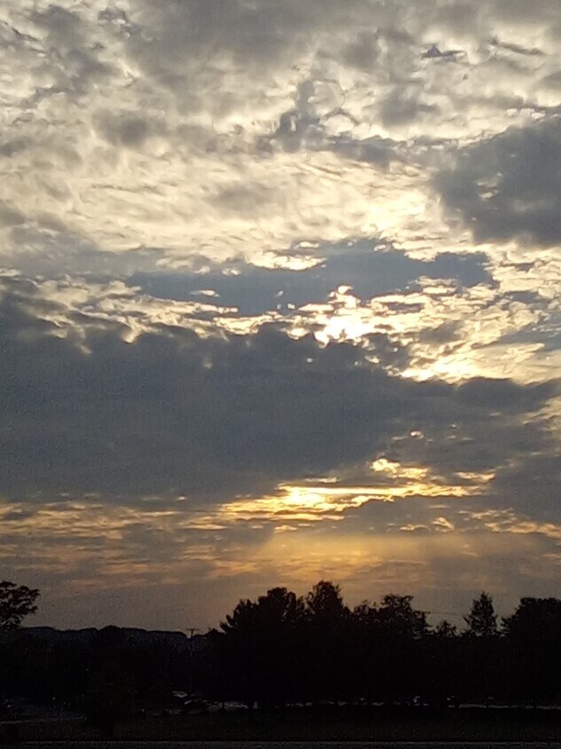 ¡Hermosa y majestuosa vista desde el porche delantero! - 9363 Peebles Rd