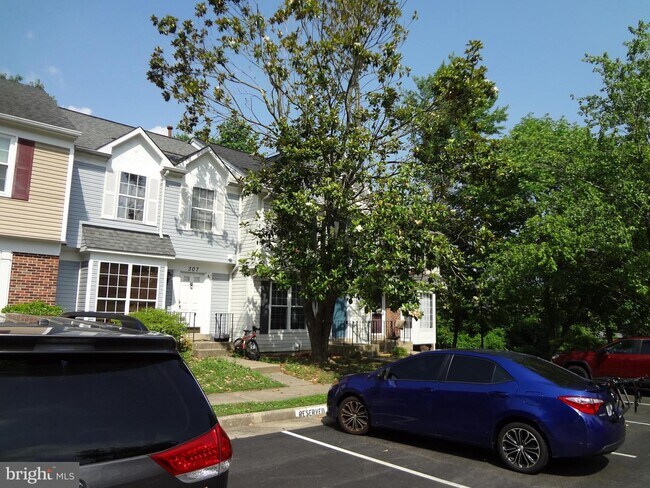 Building Photo - 309 Bentley Ct