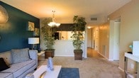 This single-floor residence offers a thoughtfully arranged layout that balances openness with defined living zones. The main living area is finished with plush, neutral-toned carpeting and features a chandelier that provides warm ambient lighting overhead. A textured ceiling adds subtle character throughout the space.

Two large potted bamboo trees serve as natural dividers between the living area and the kitchen pass-through, creating an organic and visually striking separation without fully enclosing the space. The kitchen is accessible via a half-wall pass-through, offering dark cabinetry and a practical, connected feel to the main living area.

One wall in the living room is finished in a deep, dark tone that creates a bold accent against the otherwise light and neutral color palette, lending the space a modern and stylish contrast. A hallway visible from the living area leads to the remaining rooms, suggesting a functional and well-organized floor plan.

The space benefits from soft, warm interior lighting throughout, contributing to an inviting and cozy atmosphere. Overall, this single-floor residence presents a comfortable and decoratively considered interior, ideal for those seeking a warm, livable environment with personalized design touches.