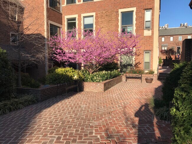 Foto del edificio - 1715 15th St NW